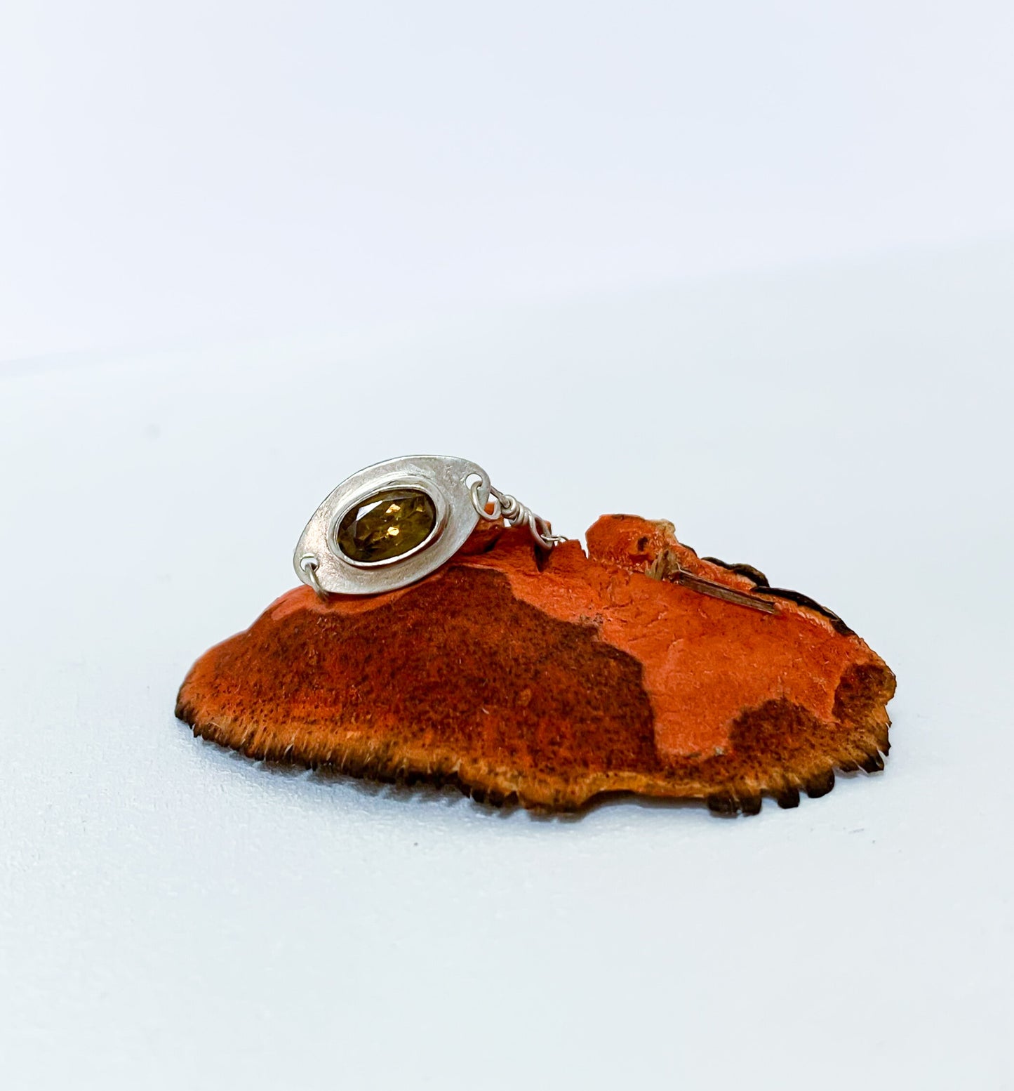 Tourmaline & Coyote Claw Talisman