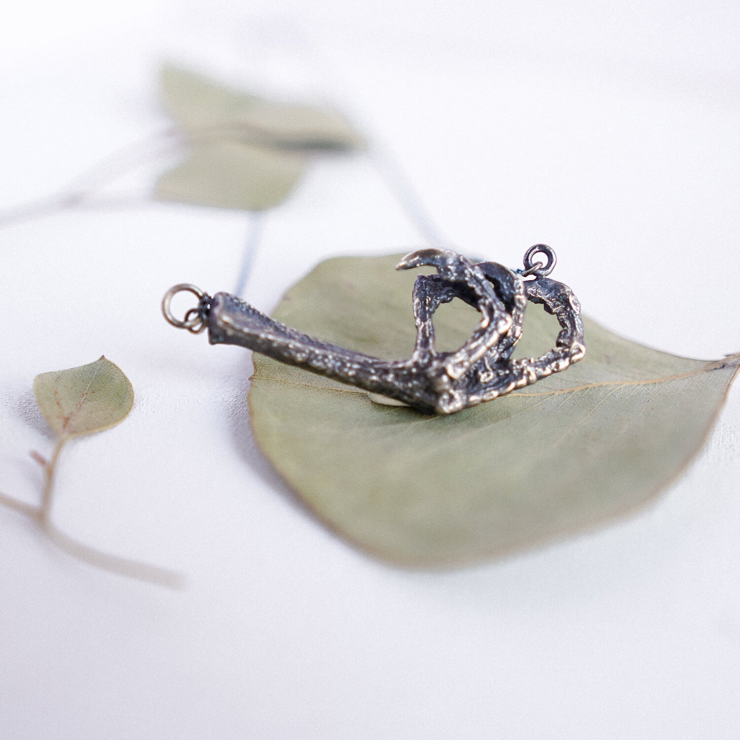 Lone Pigeon Claw Necklace