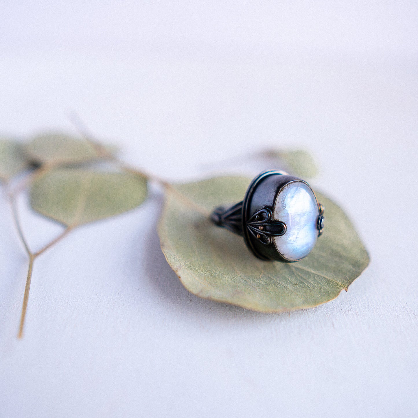 Petal Moonstone Ring