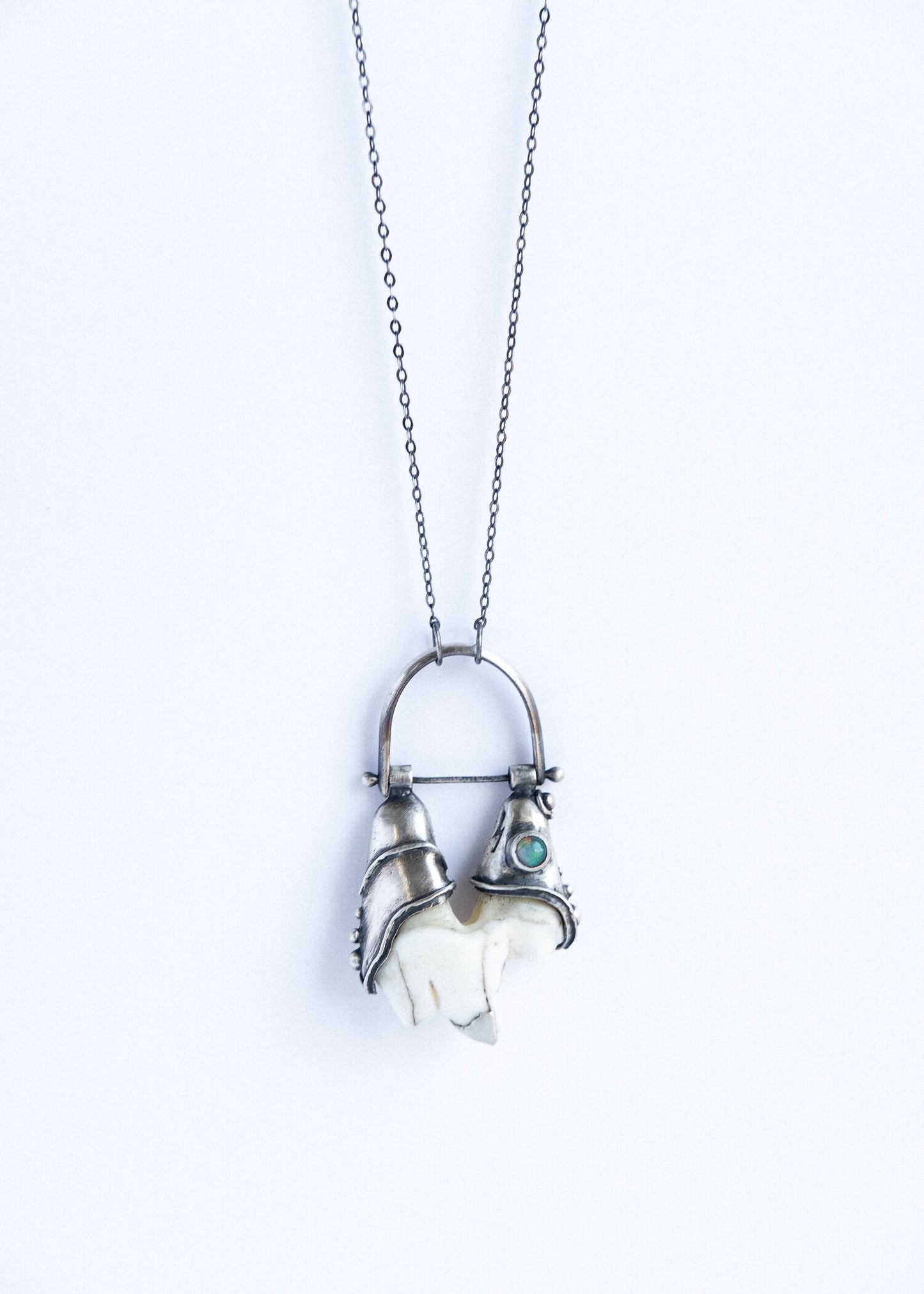 Coyote Tooth Swinger