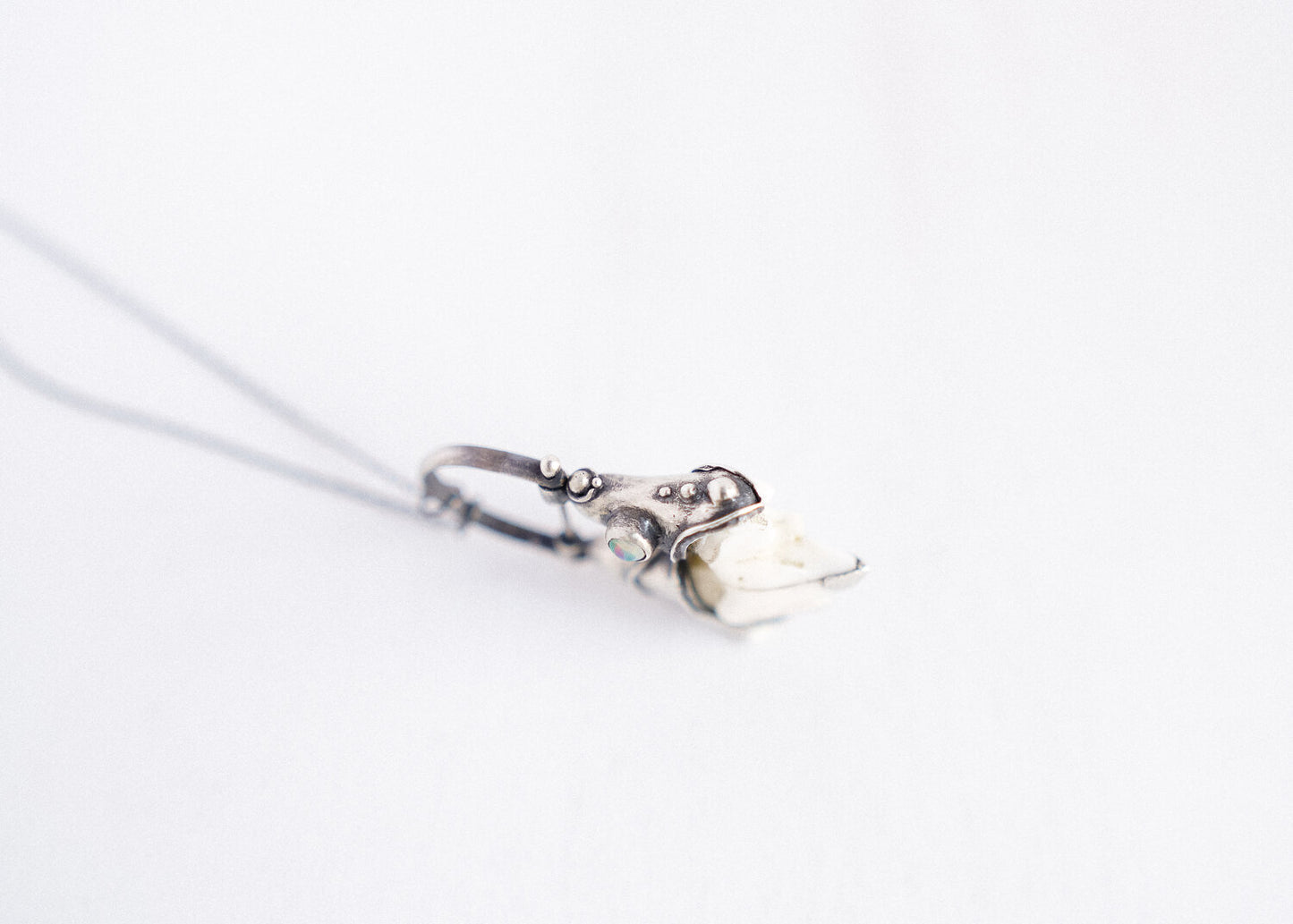 Coyote Tooth Swinger